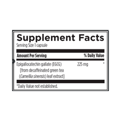 EGCg – Green Tea Extract (Antioxidant & Metabolism Support)