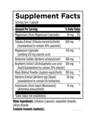 GI Microb-X™ – Botanical Support for Healthy Gut Microbiome