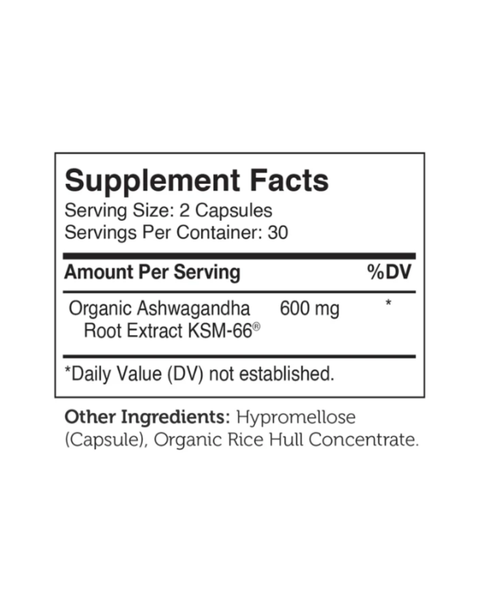 Ashwagandha 600 mg – Stress Relief & Mental Energy Support