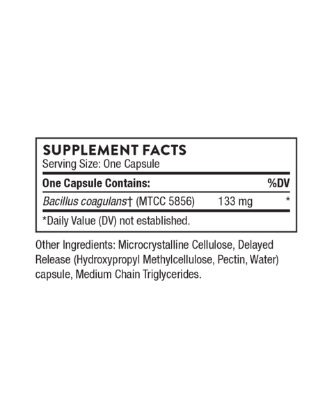 Bacillus Coagulans Probiotic Capsules – Acid-Resistant Gut & Digestive Support