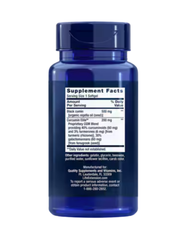 Black Seed & Curcumin Immune Support Formula