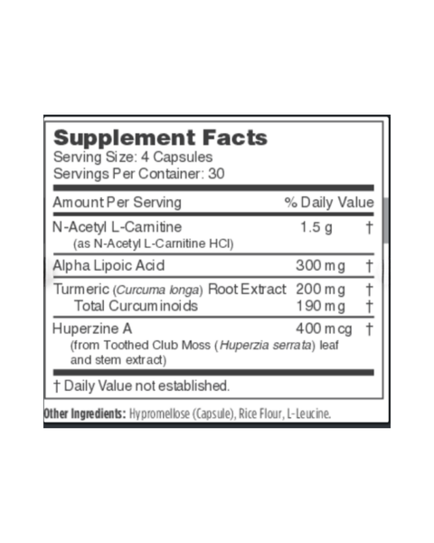 Brain Blend Memory & Focus Support