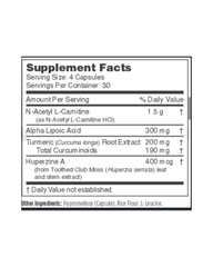 Brain Blend Memory & Focus Support