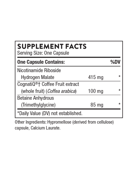 Smegenų veiksniai, lemiantys susikaupimą, atmintį ir kognityvinę paramą