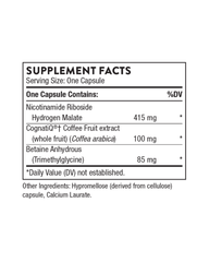 Smegenų veiksniai, lemiantys susikaupimą, atmintį ir kognityvinę paramą
