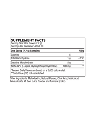 Creatine + Alpha GPC Powder for Energy, Muscle Performance, and Mental Focus