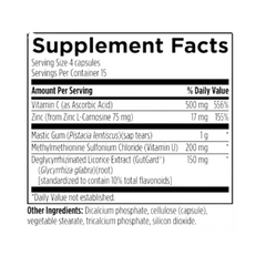 GastroMend-HP