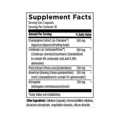 Kidney Korrect™ – Kidney & Urinary Health Support