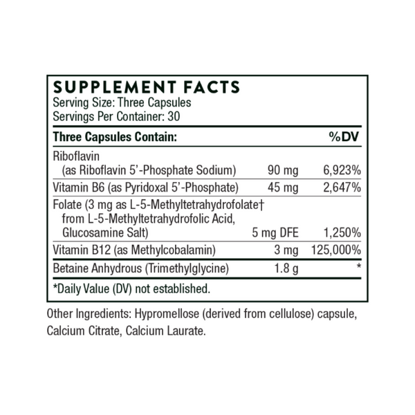 Methyl-Guard Plus – Advanced Homocysteine & Methylation Support