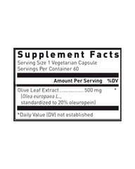 Olive Leaf Extract Capsules – Antioxidant & Immune Support, 500mg, Standardized to 20% Oleuropein