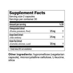 Polyphenol Prebiotic Complex – Pomegranate, Grape Seed & Green Tea Extract (60 Capsules)