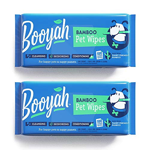 CABOO BTH TISSUE 500 SHT ( 24 X 1 CT   )